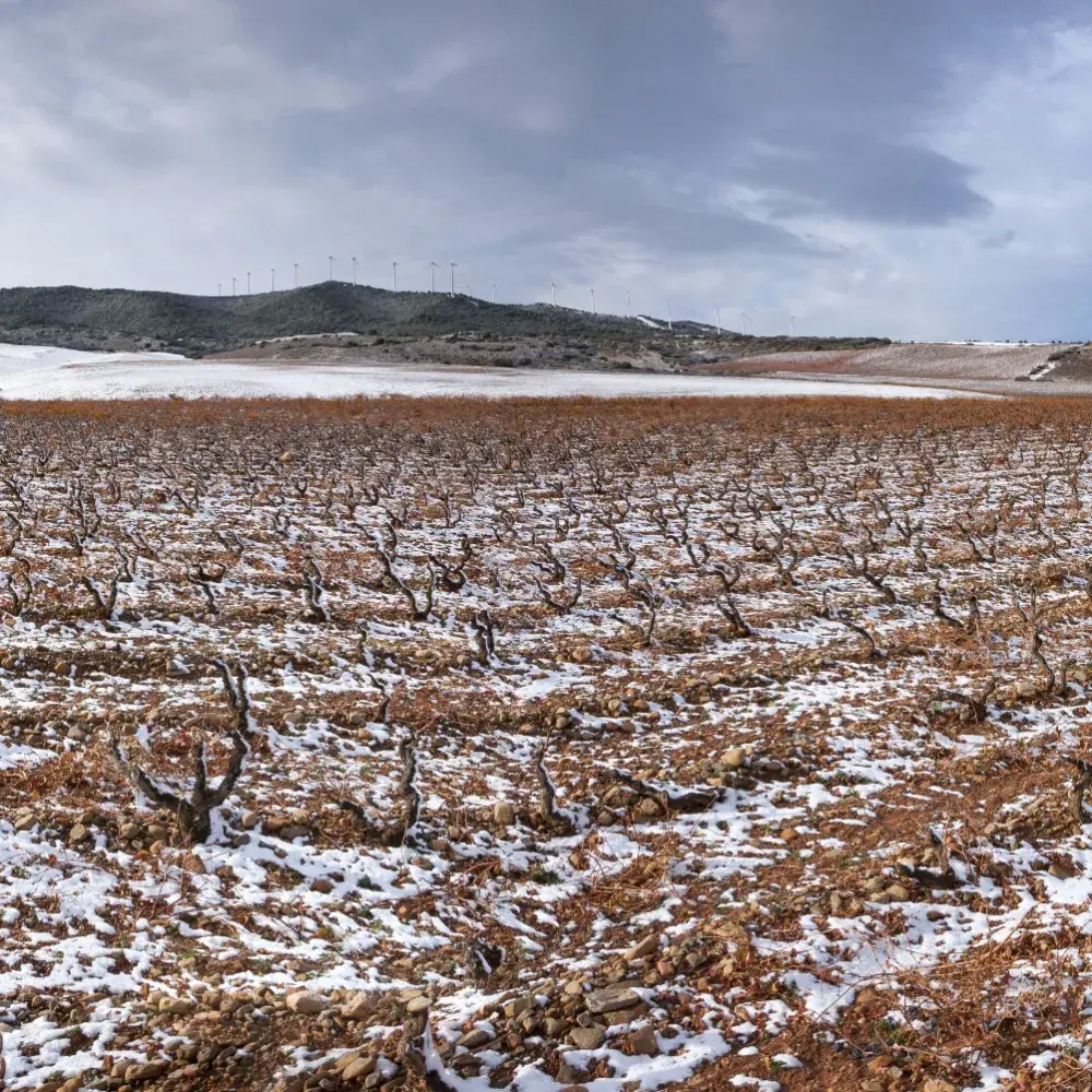 Descubre la finca